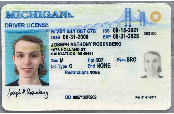 Michigan Fake ID